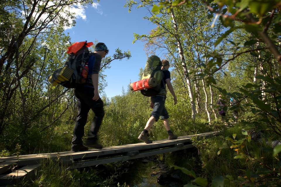 Initially hiking through the forest across wooden boards.